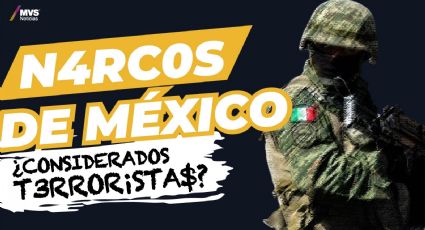 Narcos de México ¿considerados terroristas?
