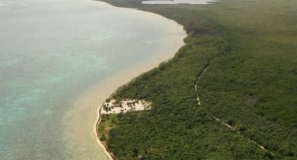 Fonatur: '16 mil hectáreas de reservas territoriales se convierten en áreas protegidas'
