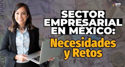 Sector empresarial: Las necesidades y retos que tiene México