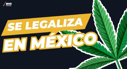 ¿Por fin se legaliza la marihuana en México?