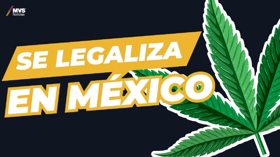 ¿Por fin se legaliza la marihuana en México?