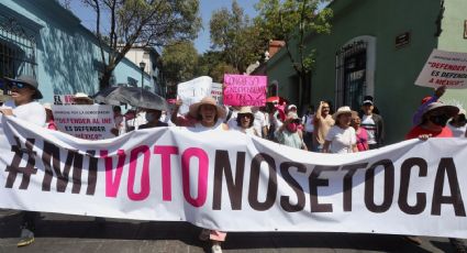 Marcha del INE: 'La gente iba convencida a defender su voto'