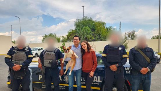 Hallan a Frank, perrito secuestrado en carretera México-Quéretaro | VIDEO