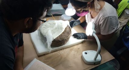 INAH descubre un marcador de piedra que se usaba en el Juego de Pelota Maya