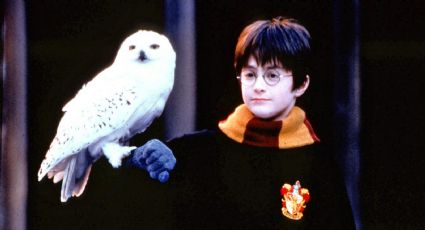 Harry Potter llegará a Max para sorprender a sus fans con una nueva serie