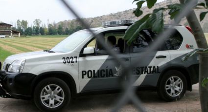 Querétaro: Reportan cinco cuerpos sin vida tras balacera en rancho de Tejocote