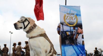 En recuerdo de la perrita Frida, instauran el Día Nacional del Binomio Canino