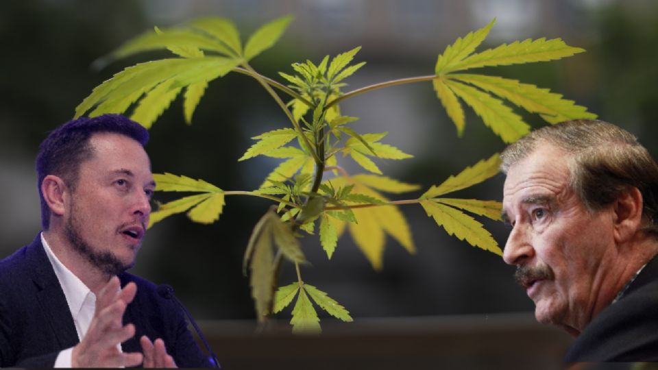 Día del 420; la venta de cannabis de Vicente Fox y la entrega a domicilio de Uber Eats en Vancouver