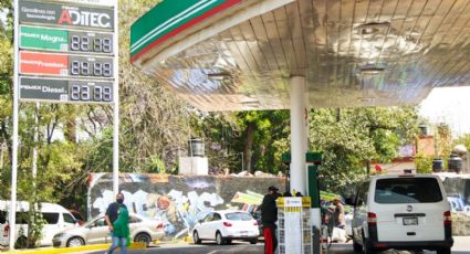 Profeco: ¿En dónde comprar la gasolina a precio más barato?