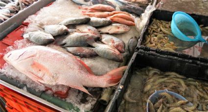 Emiten recomendaciones para evitar enfermedades por consumo de pescados y mariscos