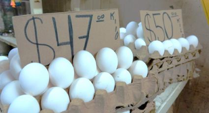 Precios del huevo y la tortilla avanzan a un ritmo mayor: Pedro Tello