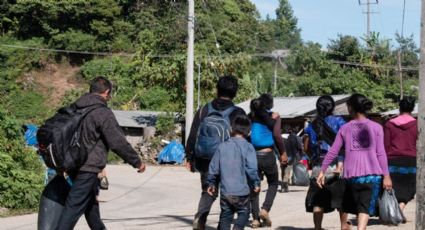 Desplazamiento forzado en Chiapas: 'Familias han tenido que huir, delincuentes querían reclutarlos'