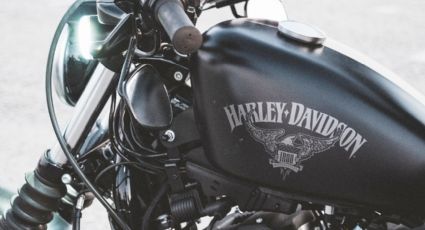 Profeco llama a revisión estos modelos de motocicletas Harley-Davidson
