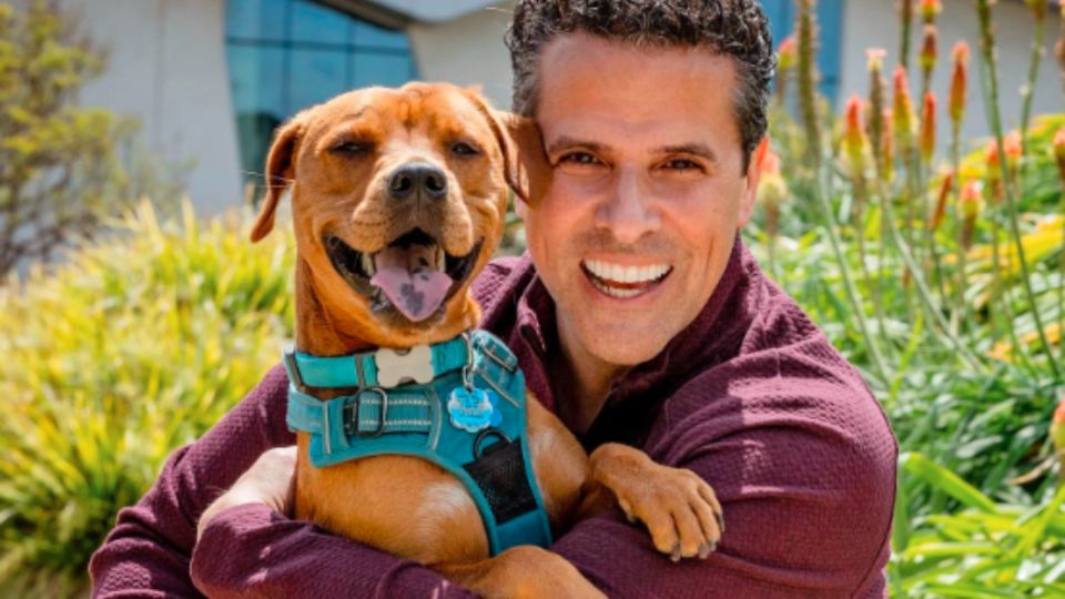 Marco Antonio Regil anuncia que da en adopción a su mascota y es criticado en redes sociales por su decisión.