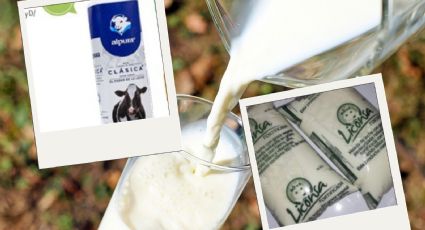 Liconsa vs. Alpura: Esta es la leche que tiene menos grasa, según Profeco