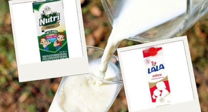 Nutri vs Lala: Así calificó la Profeco estos productos lácteos