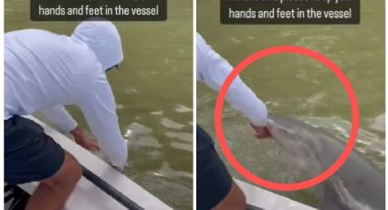 Pescador sufre el ataque de un tiburón y casi es devorado en una reserva natural de Florida |VIDEO