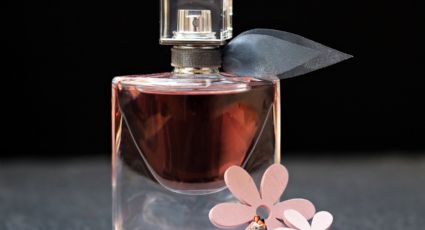 Fraiche: 5 Perfumes para dama con un aroma fresco para esta temporada de calor