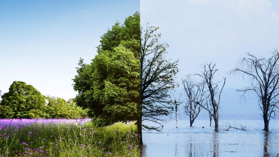 Temperaturas moderadas de hasta 34° Celsius, pueden provocar un aumento constante de la frecuencia cardíaca.