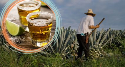 Día del Tequila: 3 deliciosas bebidas para celebrarlo