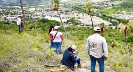 En Michoacán, suman 30 cuerpos hallados en 'fosas' de Los Negritos