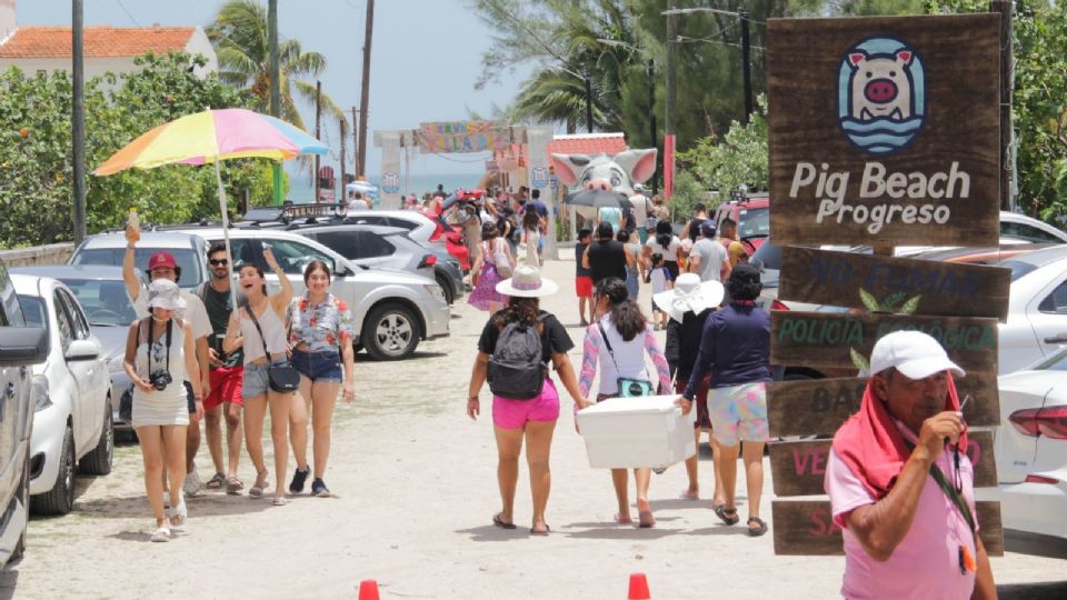 ristas se dieron cita en la Pig Beach en Puerto Progreso.