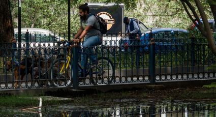 'Se trata de fortalecer el mejoramiento de la imagen urbana para beneficio de todas las familias: Ana Villagrán'