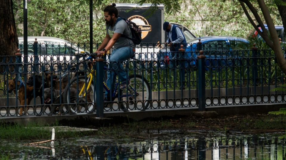 Consideró que si el gobierno central, los alcaldes o alcaldesas no pueden tener las colonias en excelente estado, sería óptimo que lo hiciera la secretaría.