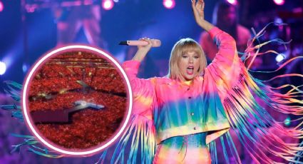 Fans de Taylor Swift provocan sismo magnitud 2.3 y le hacen honor a ‘Shake It Off