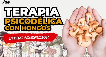 ¿Hay beneficios en la Terapia psicodélica con Hongos?