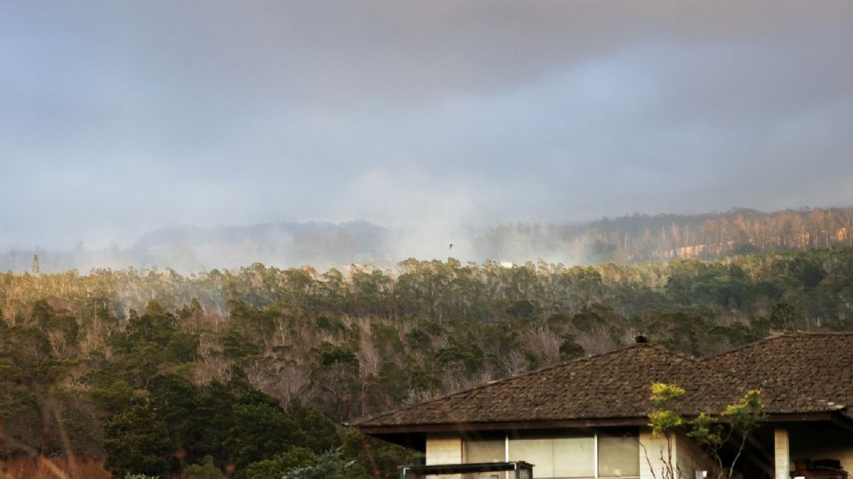 El fuego se avivó por los vientos de un huracán.