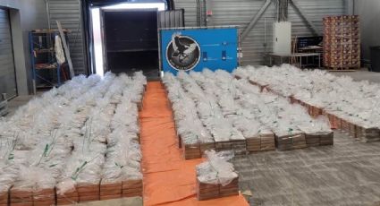 Países Bajos decomisa el mayor cargamento de cocaína proveniente de Ecuador