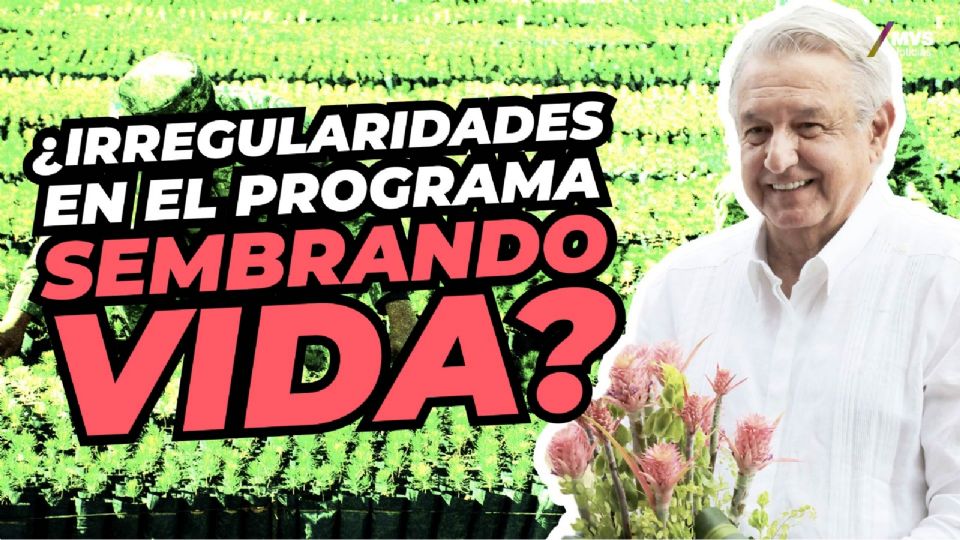 Este programa fue una propuesta de AMLO.