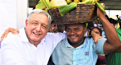 Quiere AMLO dar rango constitucional a Sembrando Vida