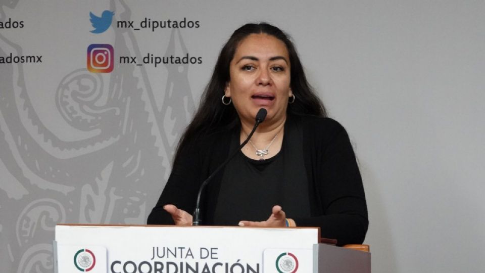 Elizabeth Pérez Valdez, diputada del PRD.