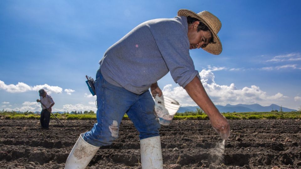 Un grupo de 95 trabajadores agrícolas fue despedido en el Aeropuerto Internacional de la Ciudad de México.