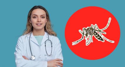 ¿Combatir el dengue con mosquitos?, conoce este programa de Médicos sin Fronteras