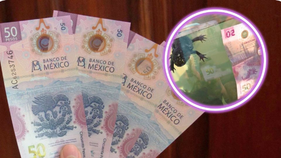 Es de los billetes más buscados.