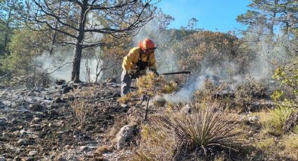 Controlan en su totalidad incendio forestal en Galeana