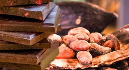 Día del Cacao y el Chocolate: Una mirada a la riqueza gastronómica mexicana