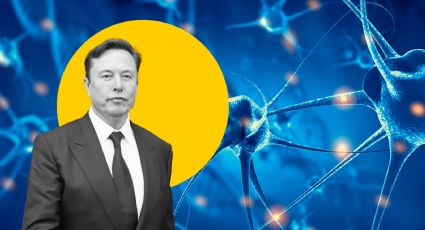 Elon Musk ensayará en humanos su implante cerebral