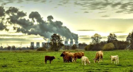 Europa se enfrenta a una grave crisis de salud pública; 98% de las personas respira aire contaminado