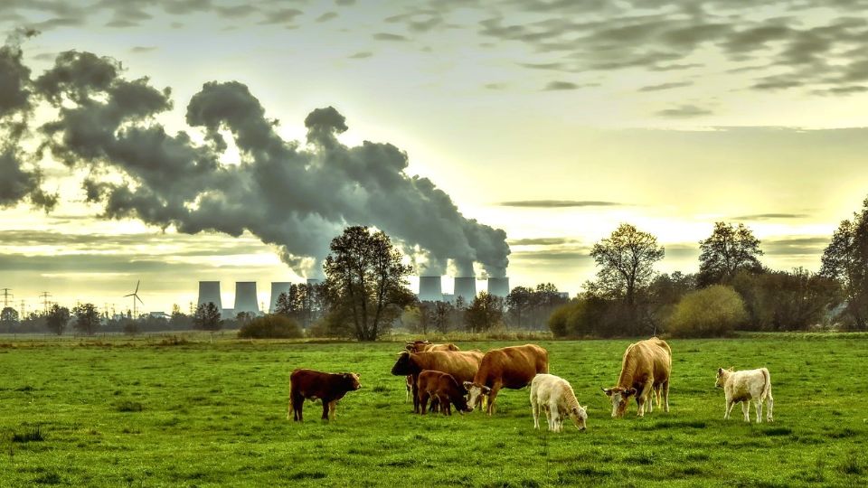 Imagen ilustrativa: Europa se enfrenta a una grave crisis de salud pública; 98% de las personas respira aire contaminado.