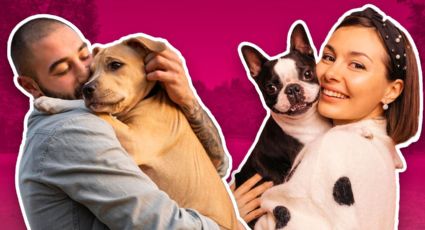 Día Mundial del Perro Adoptado: ¿Dónde puedo adoptar en Monterrey?