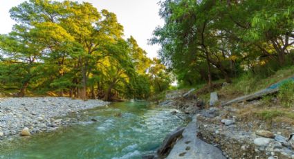 ¿Cuáles son los ríos más importantes de Nuevo León?