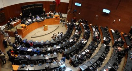 Oposición votará en contra del CURP con foto en el Senado; advierten riesgos