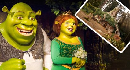 ‘Ese cuchitril es mi hogar’: Shrek ya tiene su propio Airbnb como una réplica exacta de su ciénaga