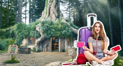 Airbnb te deja hospedarte en el Pantano de Shrek | FOTOS