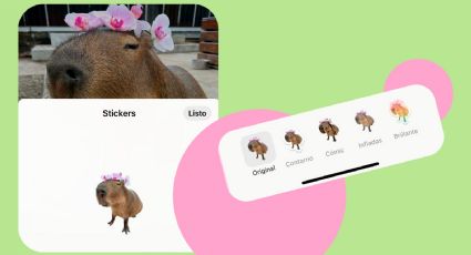 WhatsApp: Crea stickers de tus fotos favoritas desde la galería de tu iPhone con iOS 17