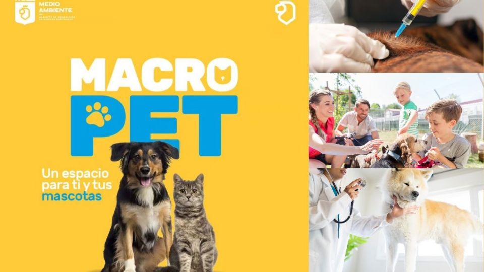 Primer edición del 'Macro Pet'